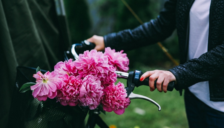 kaboompics_Woman holding a bicycle with beautiful pink flowers in the basket